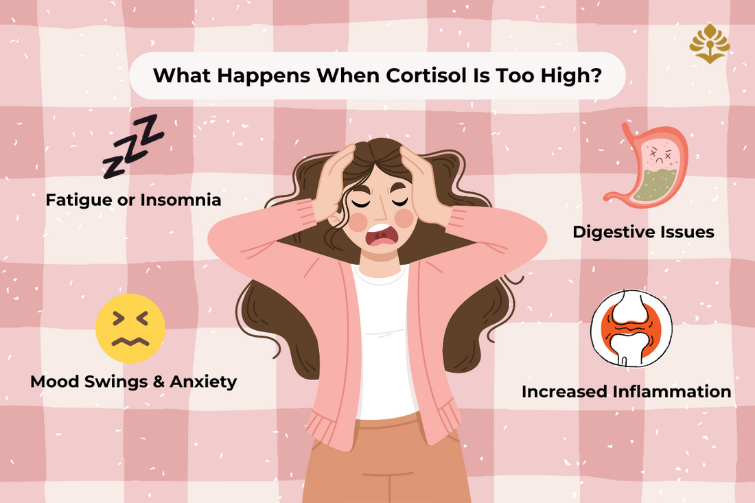 Infographic showing symptoms of high cortisol including fatigue, mood swings, digestive issues, and inflammation.