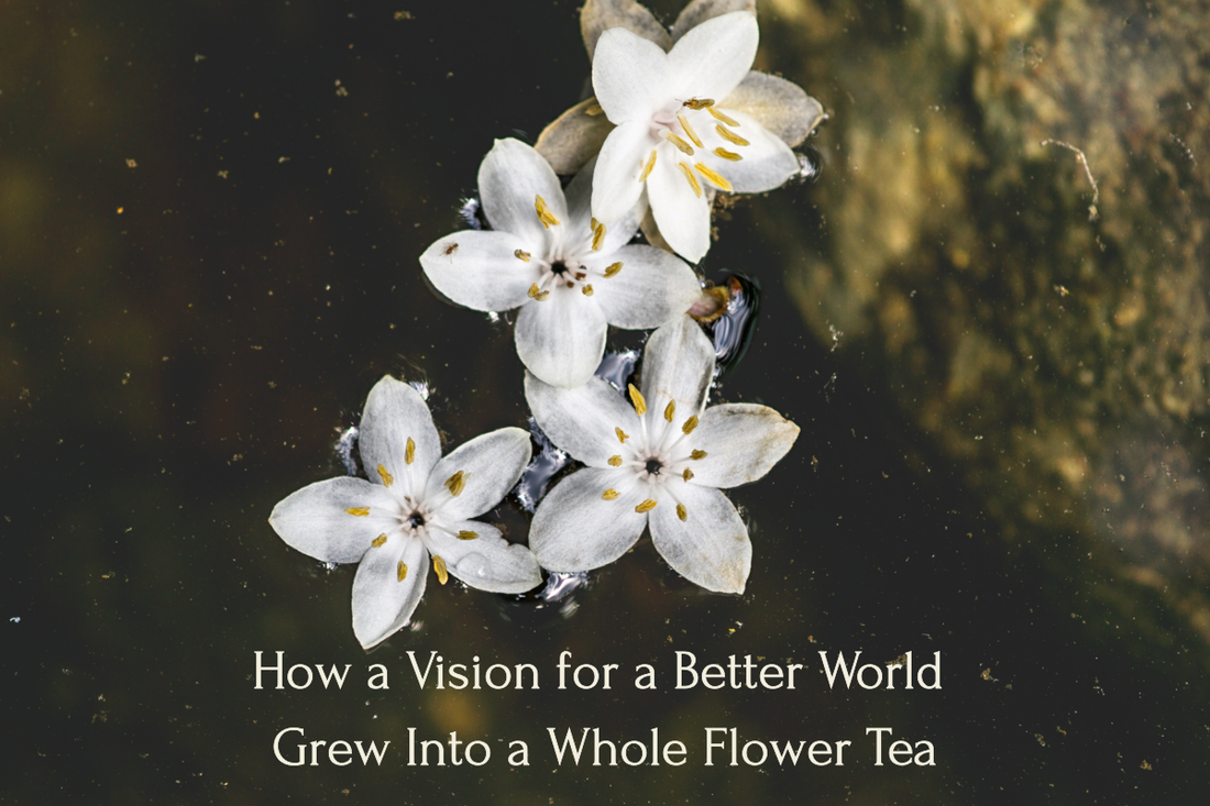 Close-up of white flowers floating on dark water with the title text: How a Vision for a Better World Grew Into a Whole Flower Tea.
