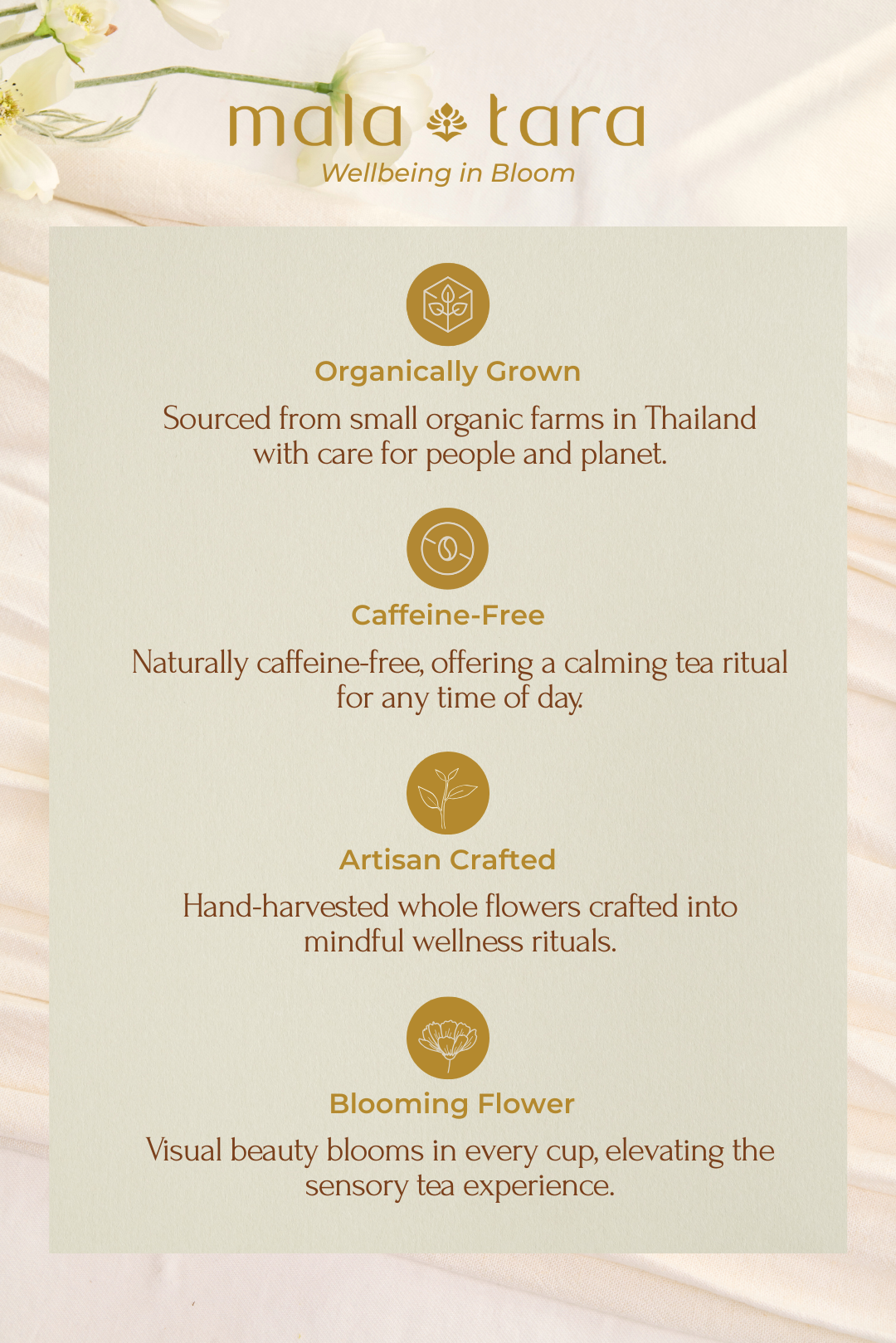 HOLIDAY SPA SET (Limited Edition)