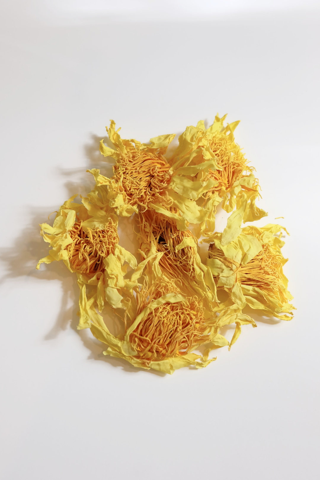 Water Lily Whole Flower Tea Pouch